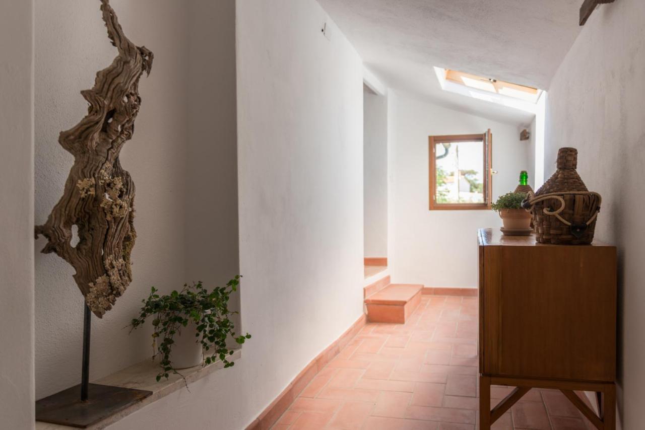 Agriturismo Schiaccia Ghiande Massa Marittima Luaran gambar